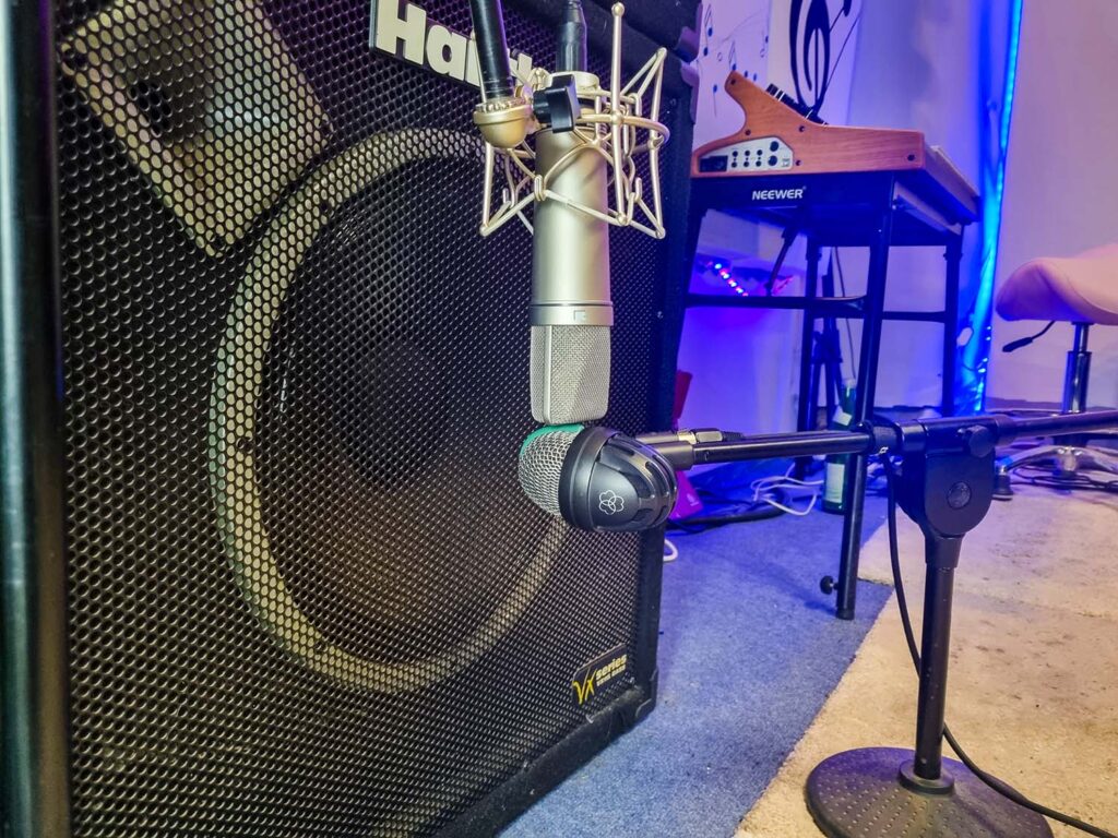 The AKG D112 and the Neumann U87 are great for recording bass.