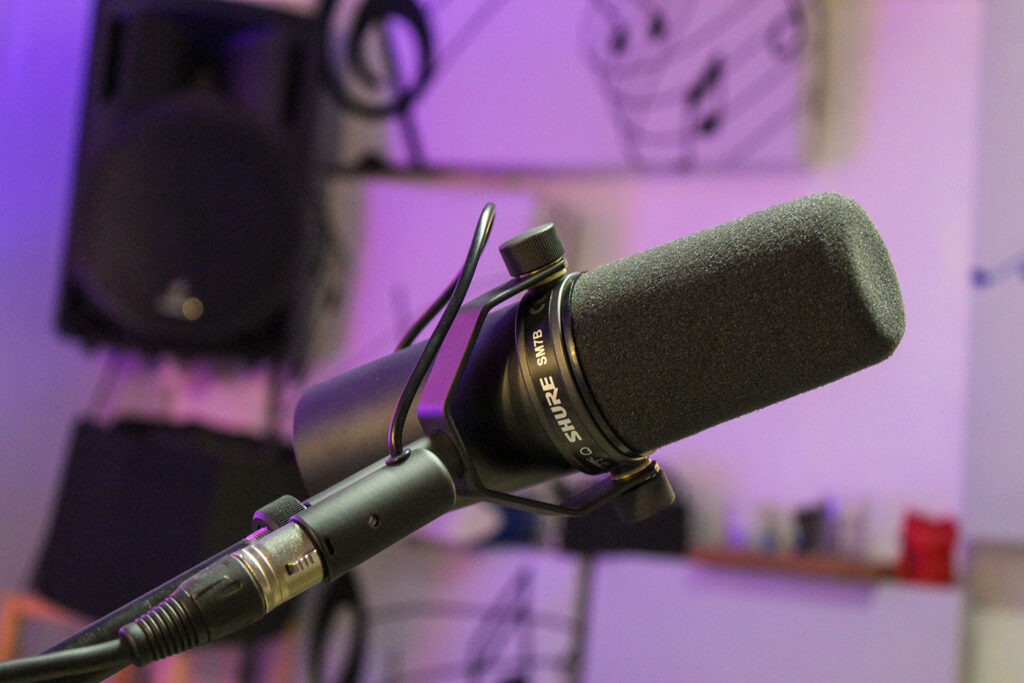 The Shure SM7B is the best microphone for recording vocals when you don't have good room acoustics.